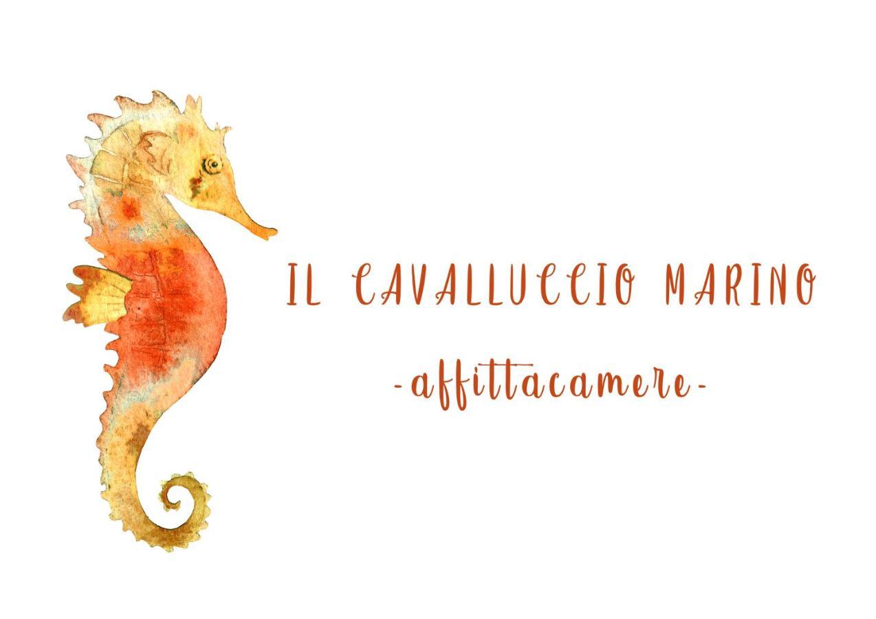 Il Cavalluccio Marino Manarola Exterior photo