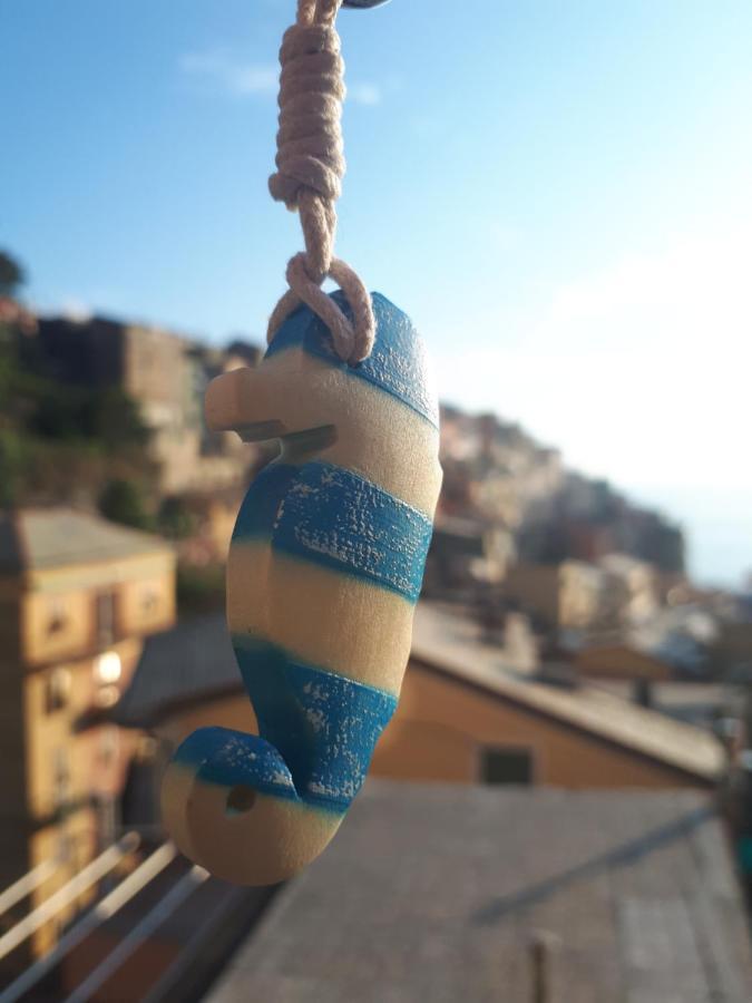 Il Cavalluccio Marino Manarola Exterior photo